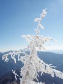 Klik za večjo sliko